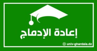 إعادة الإدماج