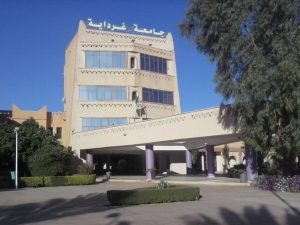 جامعة غرداية